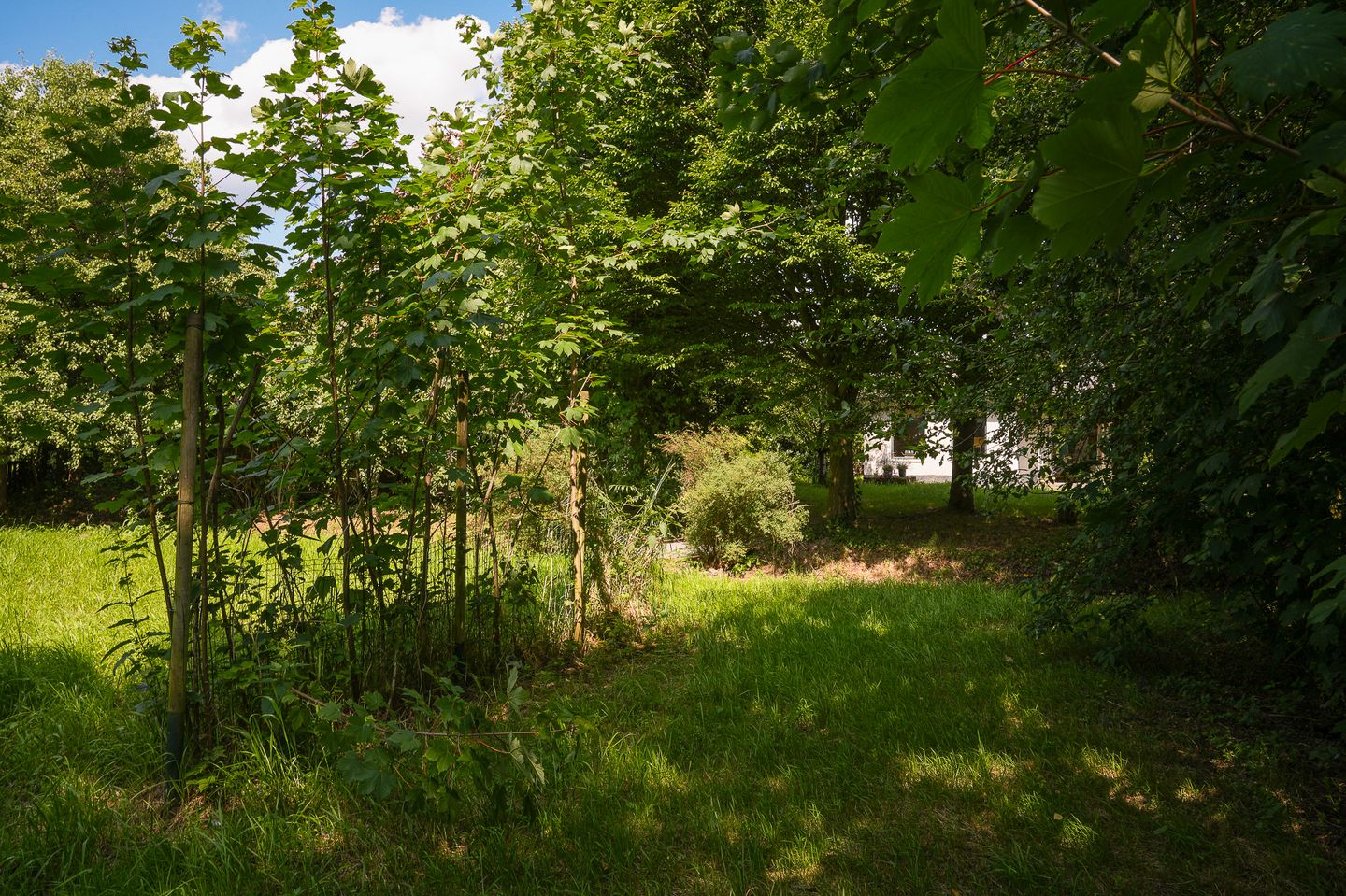 Foto 40 van Elster Grindweg 2