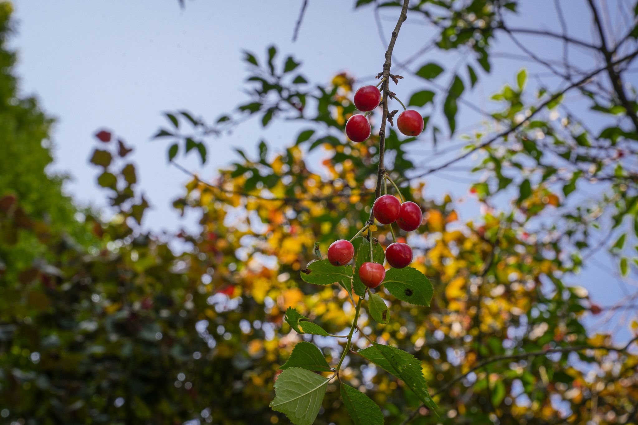 Foto 42 van Elster Grindweg 2