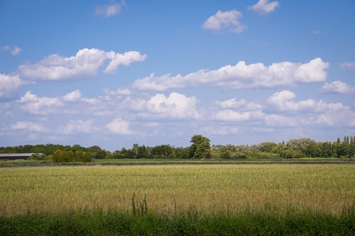 Foto 47 van Elster Grindweg 2