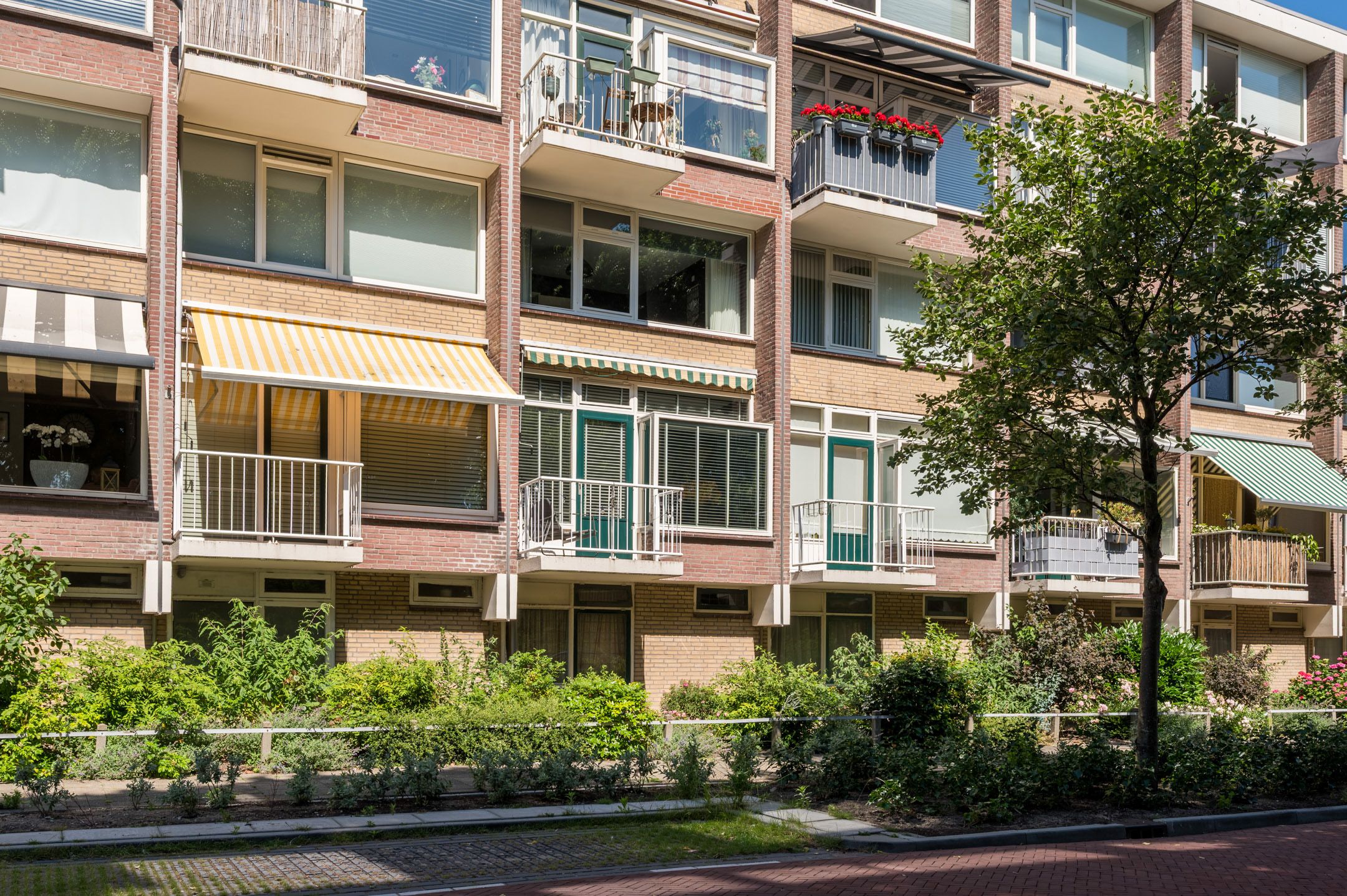 Photo 45 of van Slingelandtstraat 59