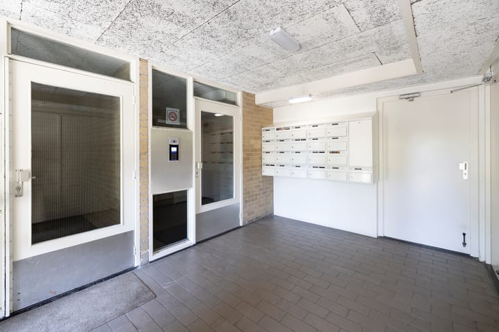 Foto 5 van Narcisplantsoen 4