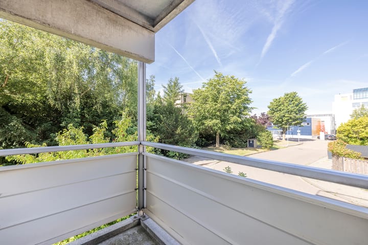 Foto 3 van Narcisplantsoen 4