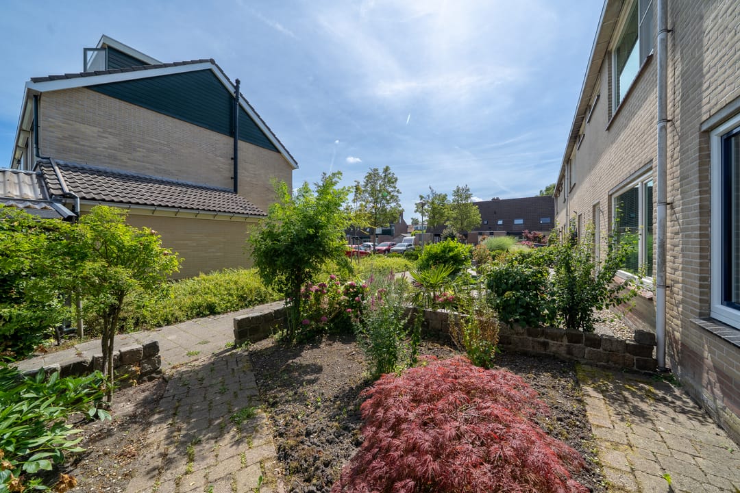 Foto 8 van Molenhof 9