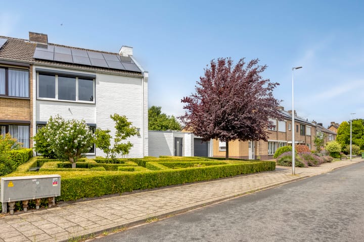 Foto 2 van Termileslaan 174