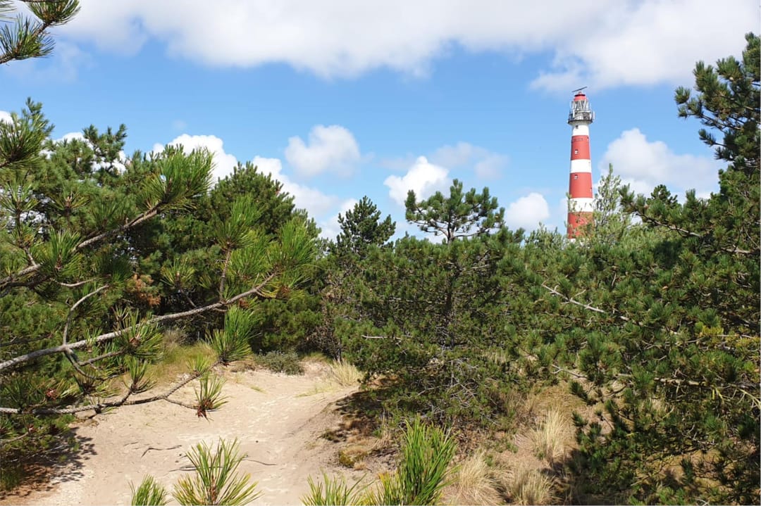 Photo 53 of Spinhuisstraat 1