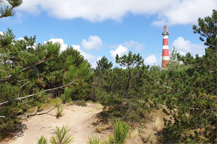 Foto 53 van Spinhuisstraat 1