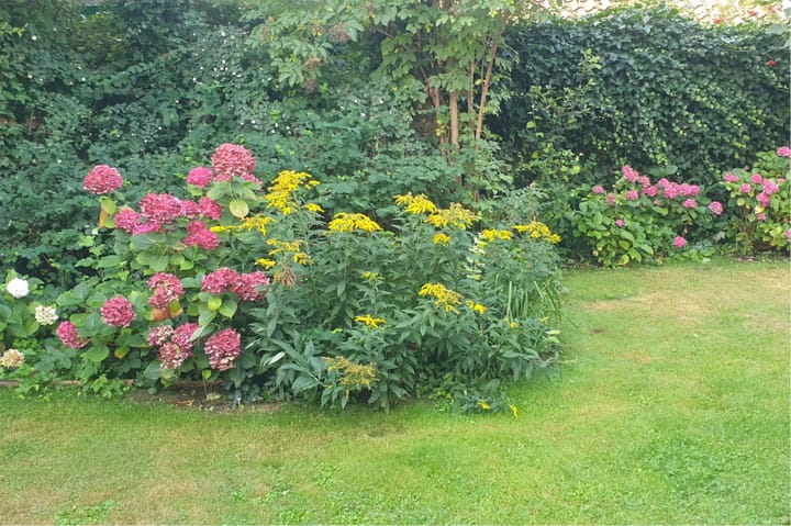 Foto 57 van Spinhuisstraat 1