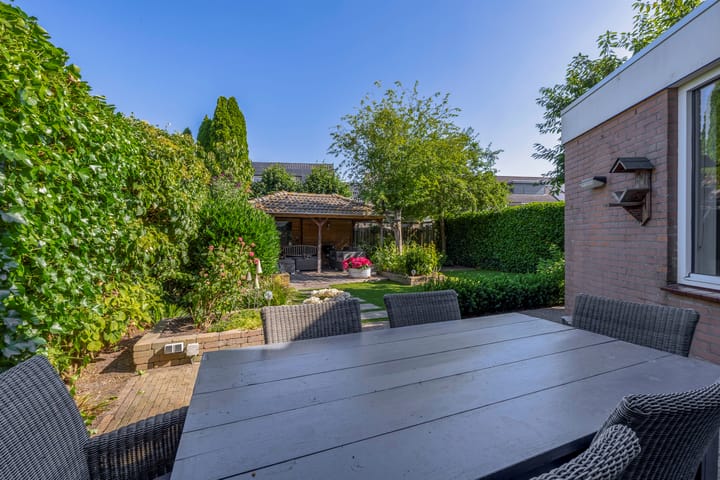 Foto 18 van Regulus 4