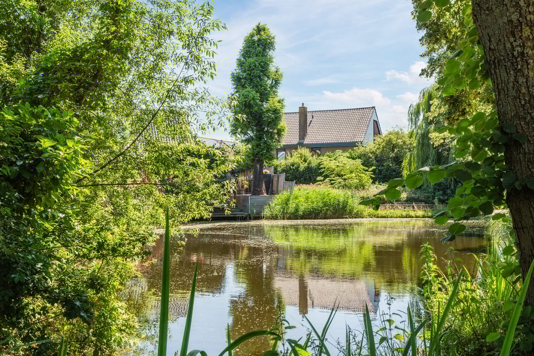 Foto 2 van Torenvalk 81