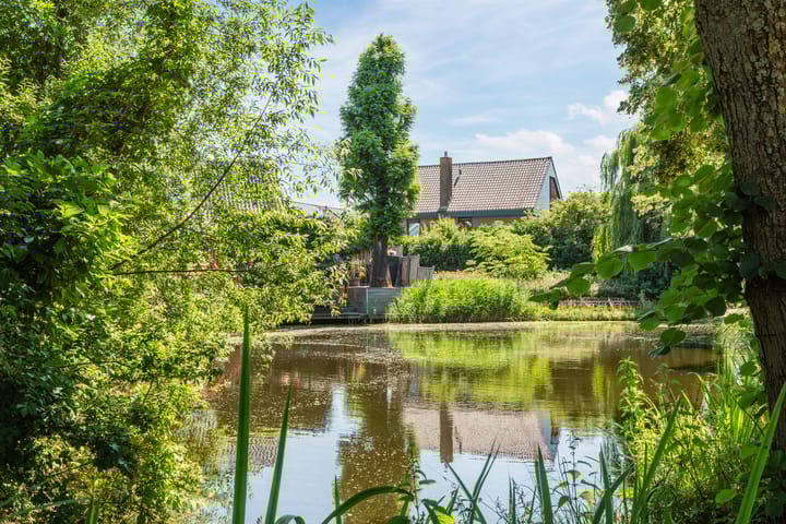 Foto 2 van Torenvalk 81