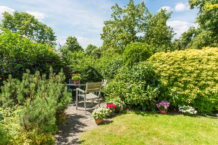 Foto 25 van Torenvalk 81