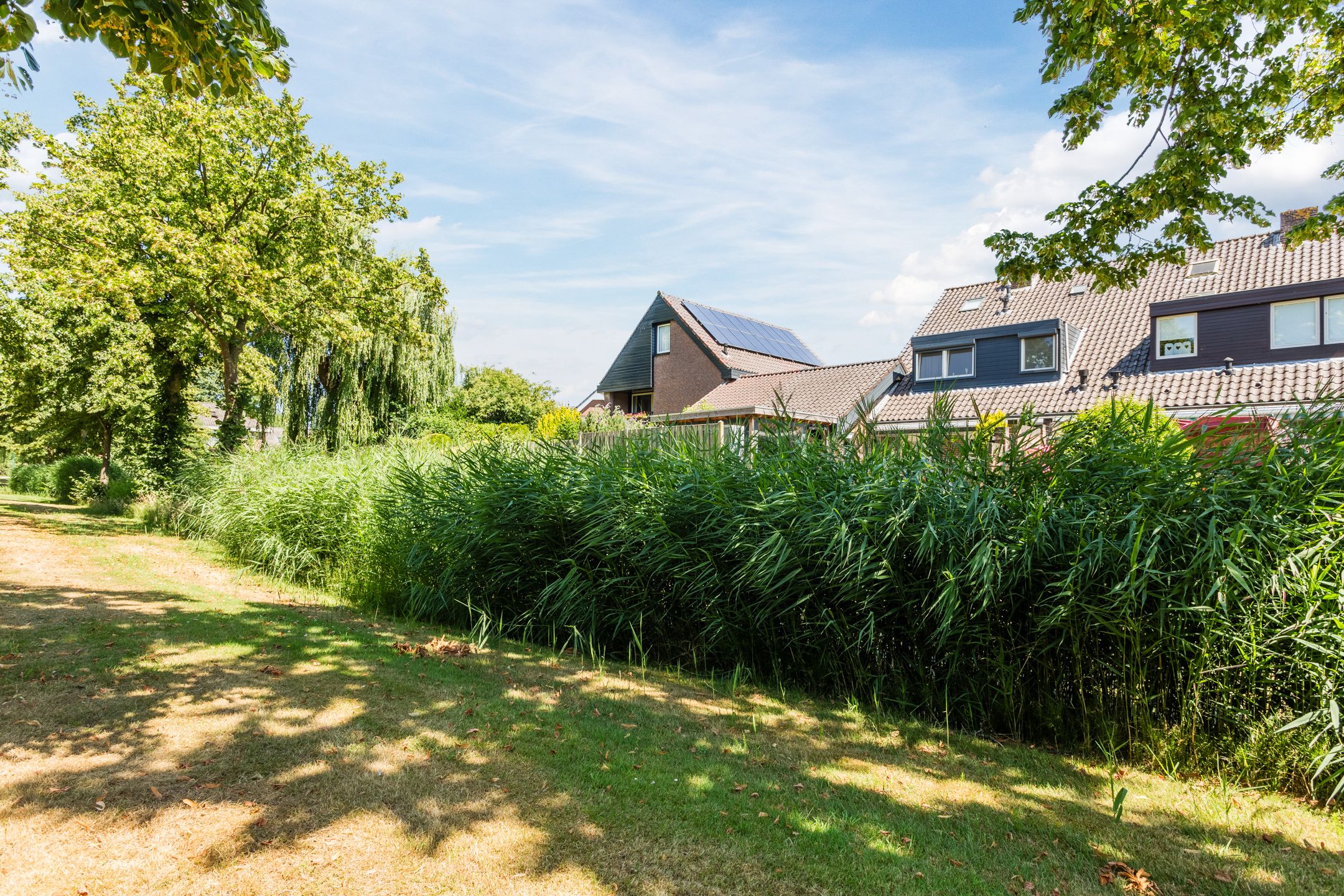 Foto 57 van Torenvalk 81