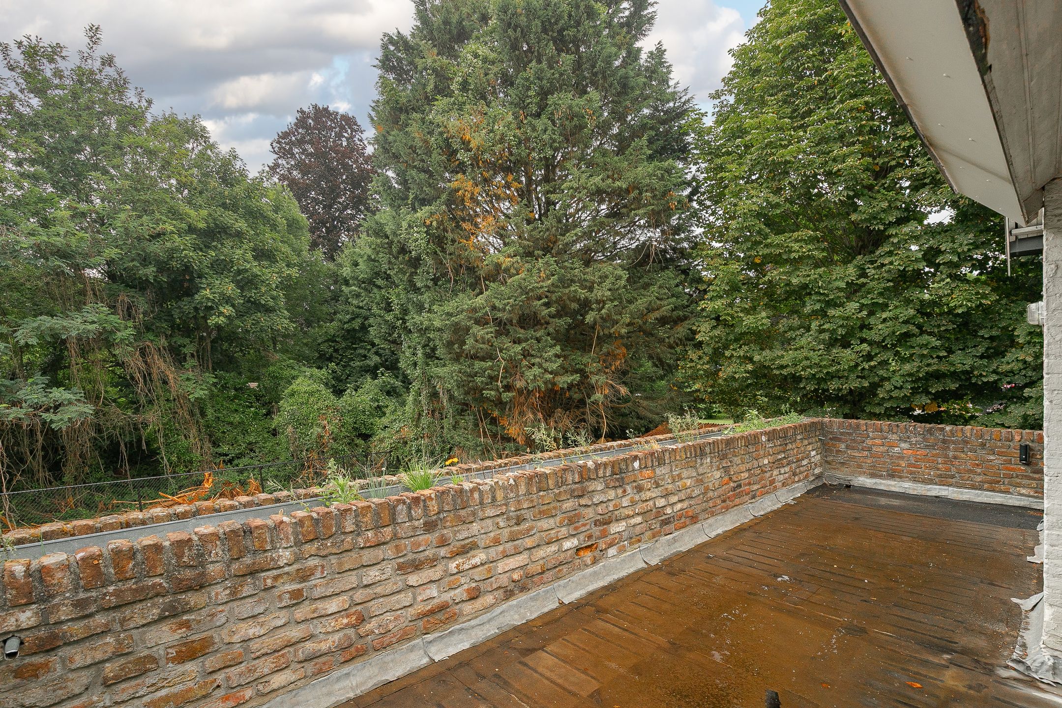 Foto 15 van Burghtstraat 21