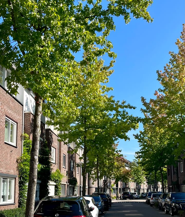 Foto 2 van Engeliena Schaapstraat 20