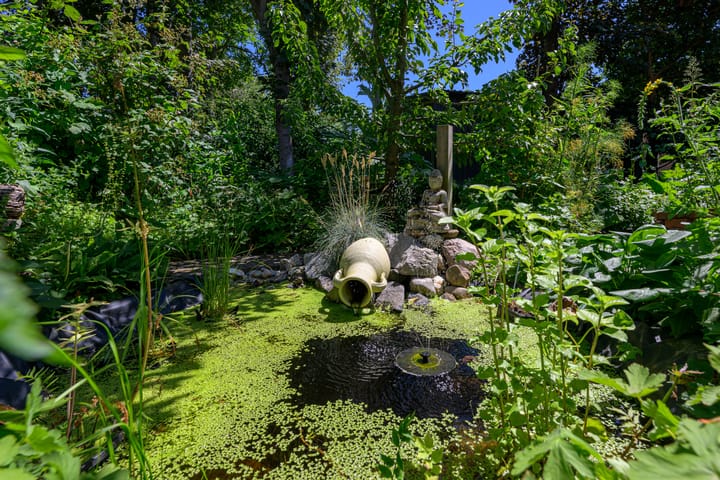 Foto 31 van Hippolytushoeverweg 7