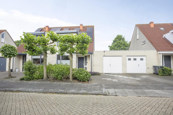 Foto 43 van Marimba 36