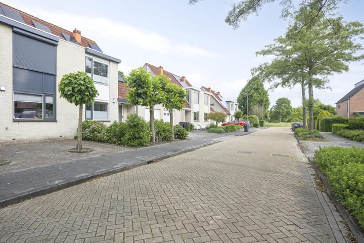 Foto 46 van Marimba 36