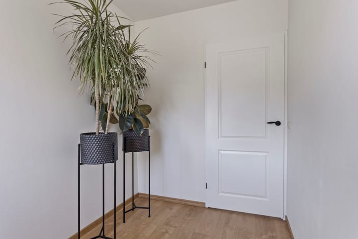 Foto 29 van Jamaïcaring 16