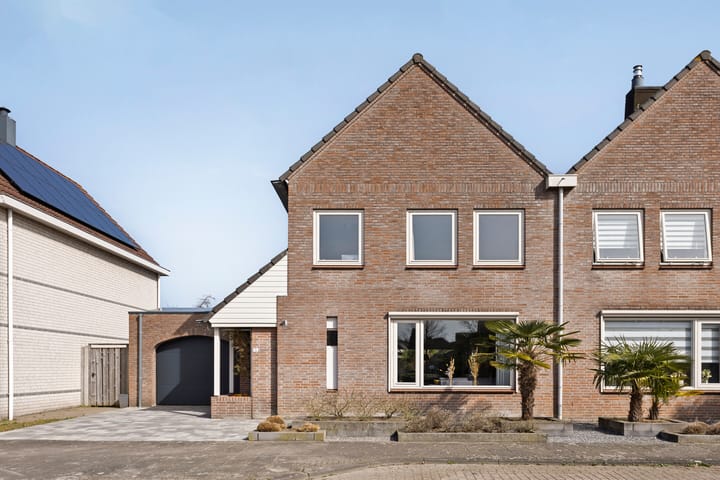 Foto 42 van Jamaïcaring 16