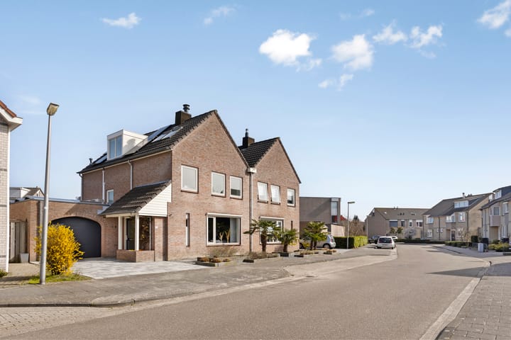 Foto 43 van Jamaïcaring 16