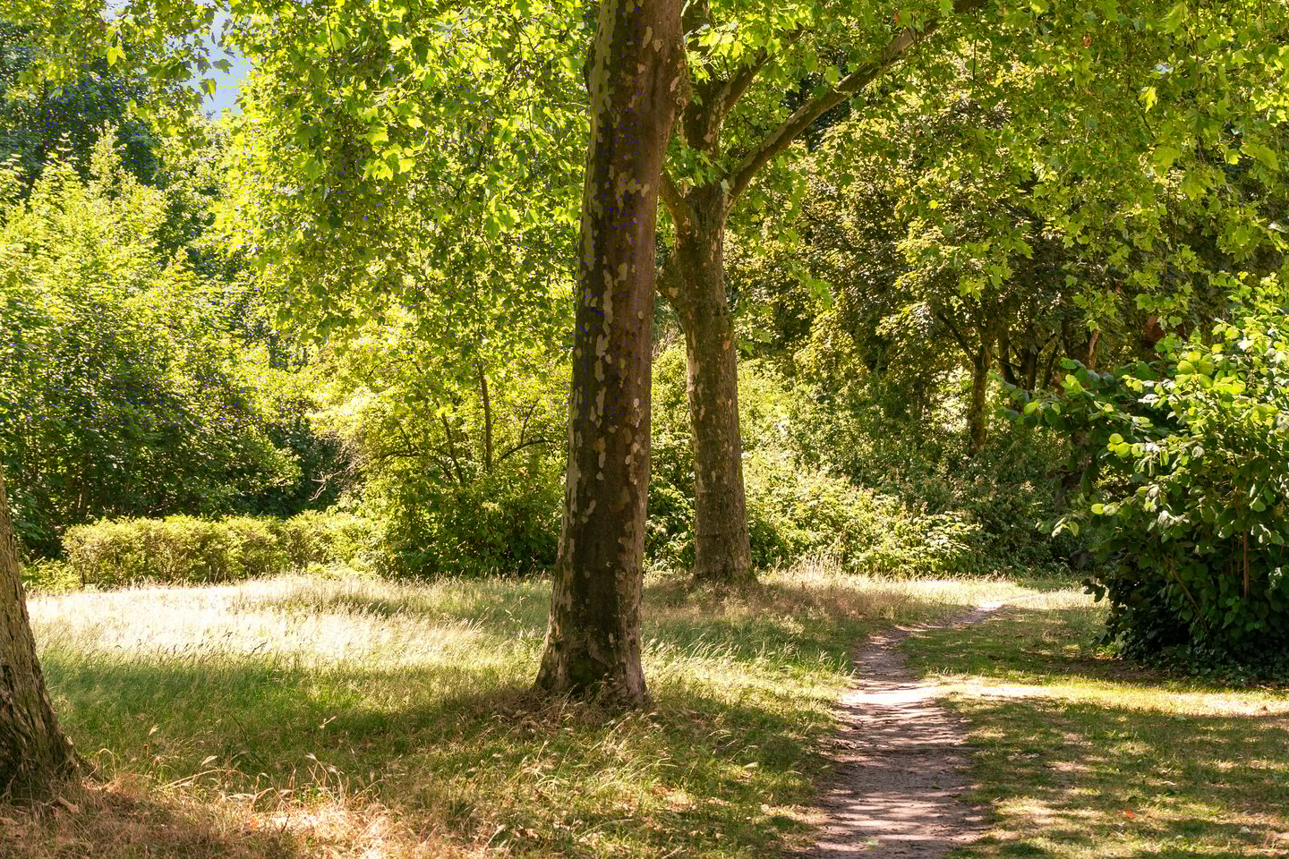 Foto 25 van Laathof 9