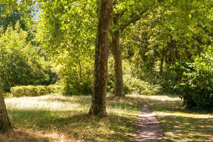 Foto 25 van Laathof 9