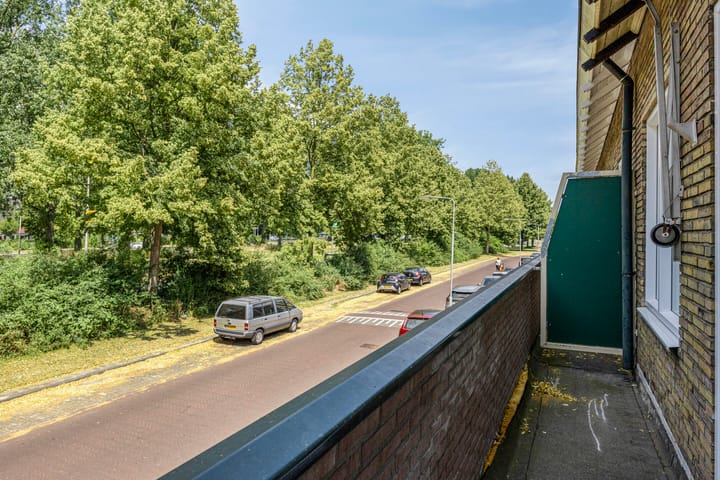 Foto 19 van Dotterlaan 25