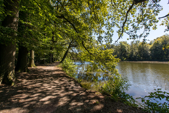 Photo 22 of Willem Honigweg 17