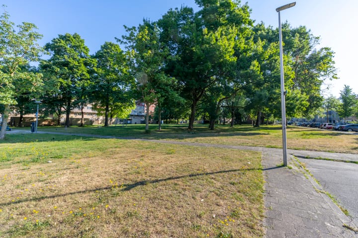 Foto 37 van Androsdreef 26