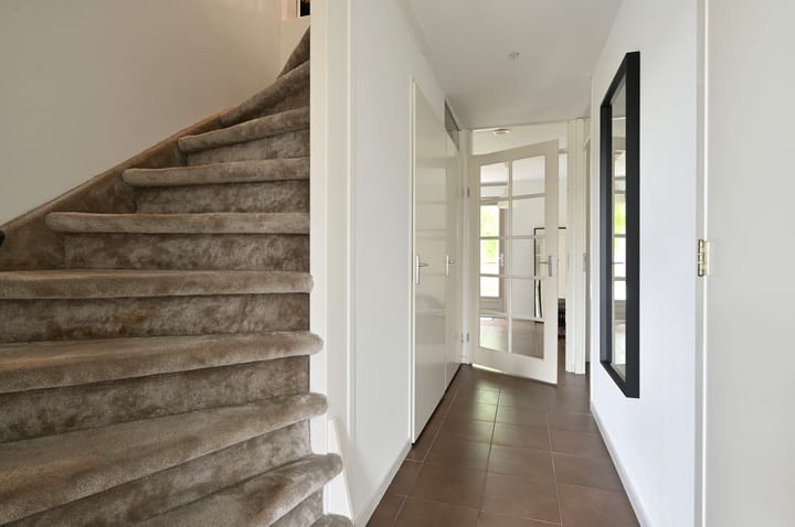 Foto 5 van Forel 370