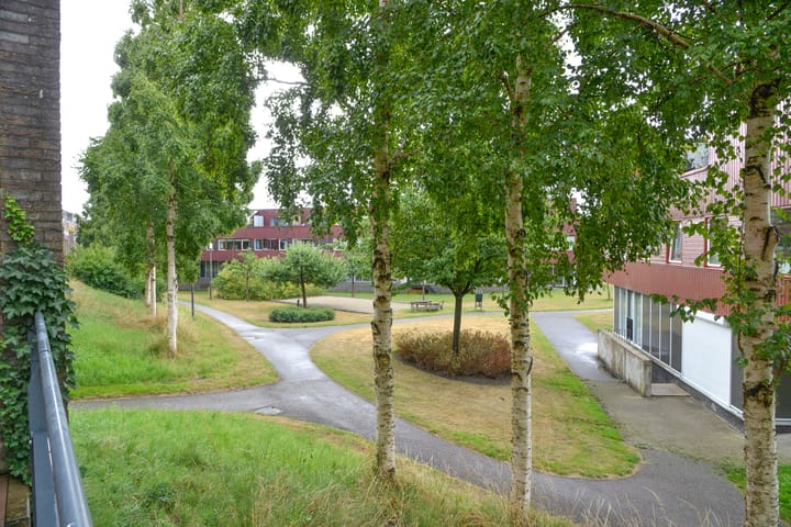 Foto 26 van Forel 370