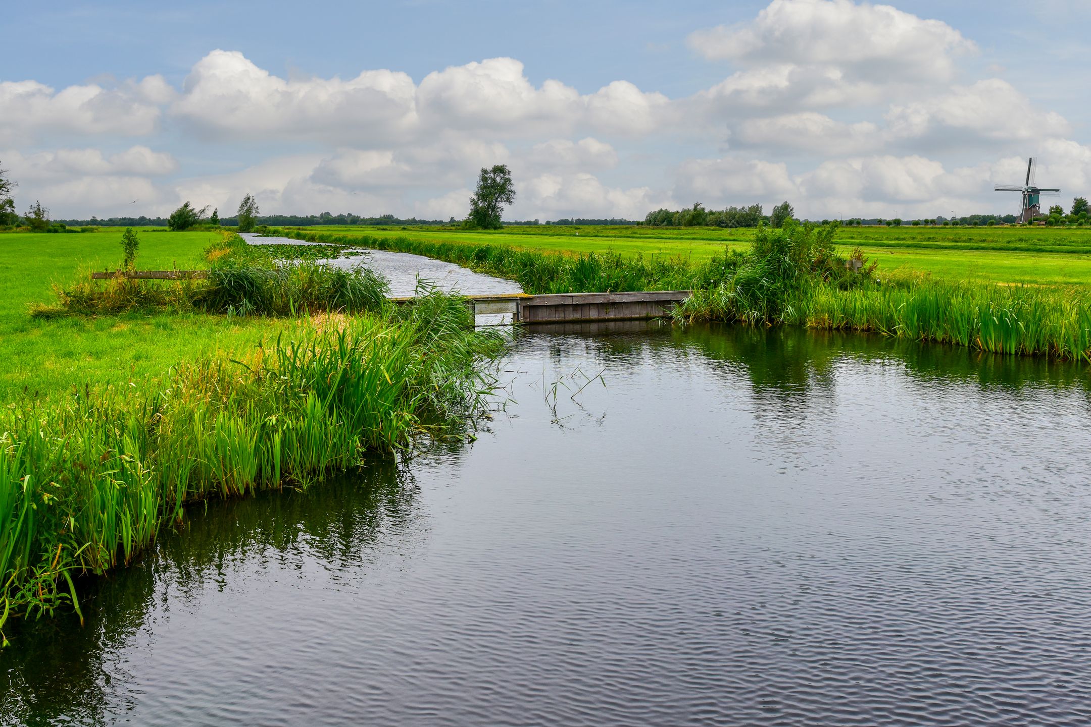 Foto 39 van Wagendijk 10-A