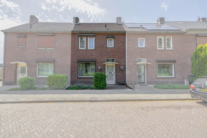 undefined main image
