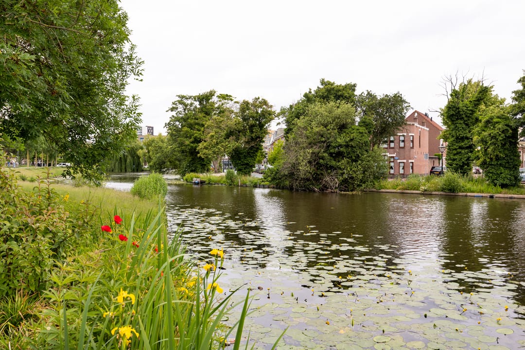 Foto 28 van Oude Singel 274