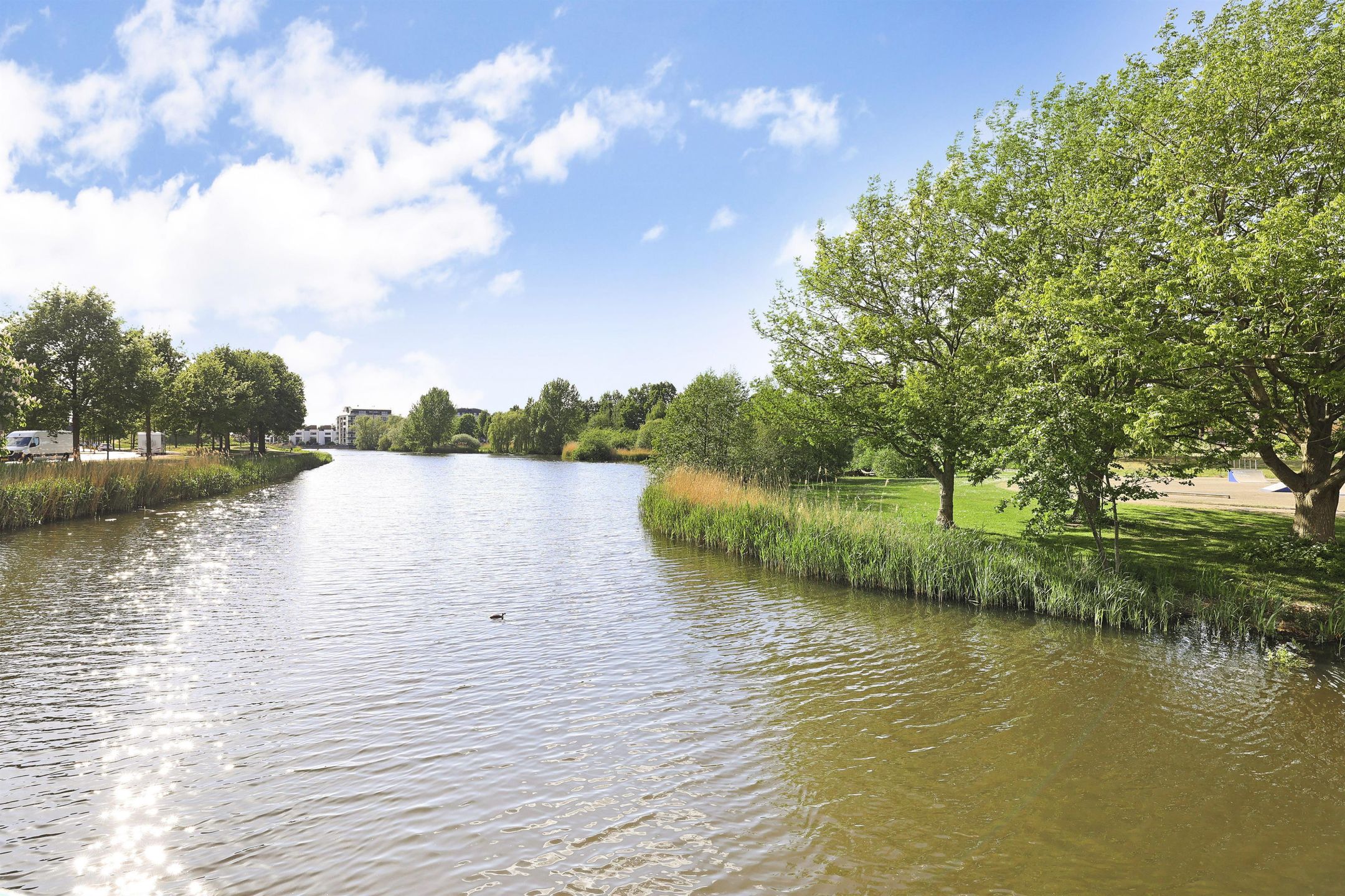 Foto 30 van Forel 236