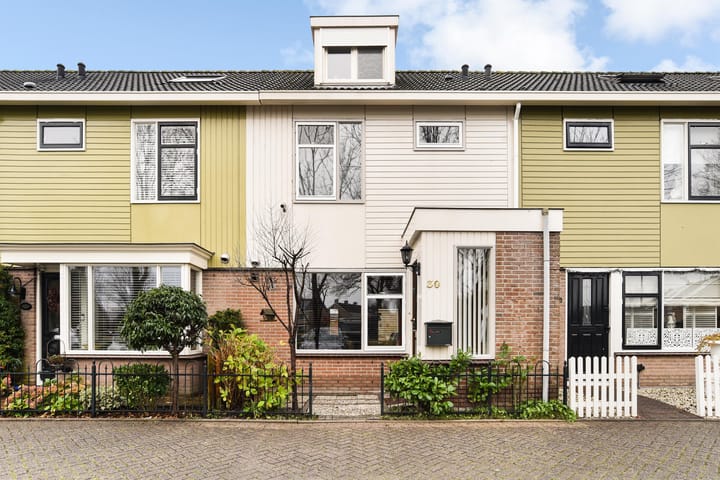 Houtrib 30 main image