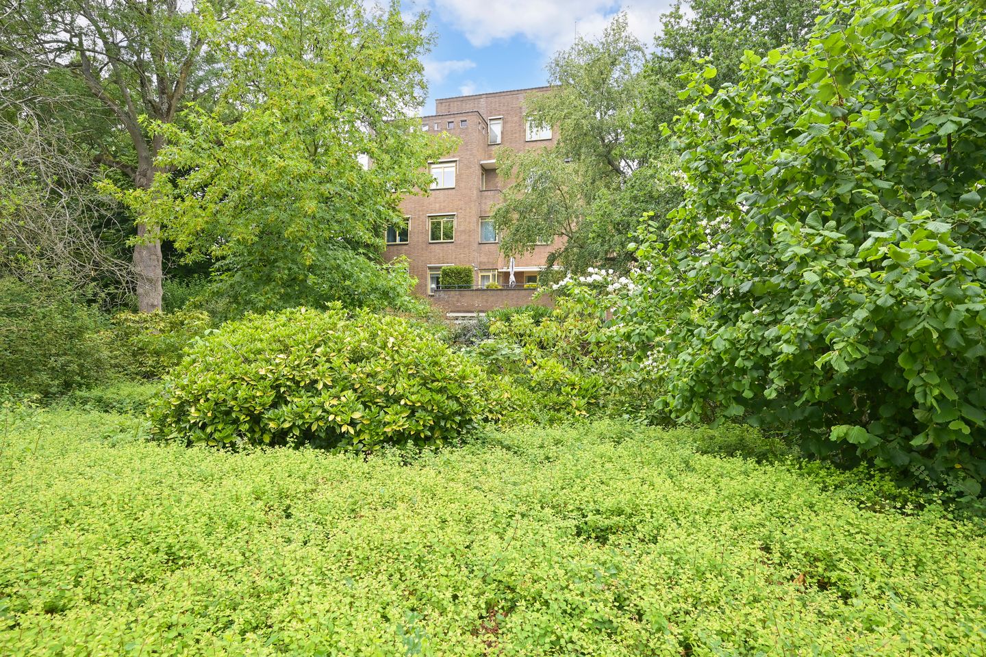 Foto 35 van Van Hogenhoucklaan 56-A