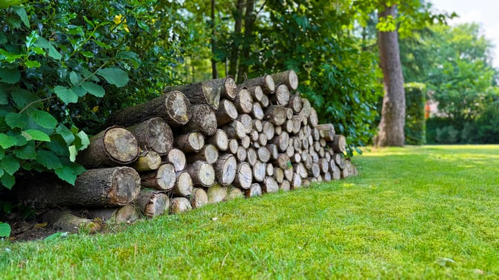 Foto 10 van Hoorneweg 17-B