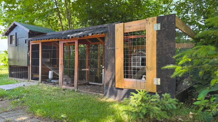 Foto 12 van Hoorneweg 17-B