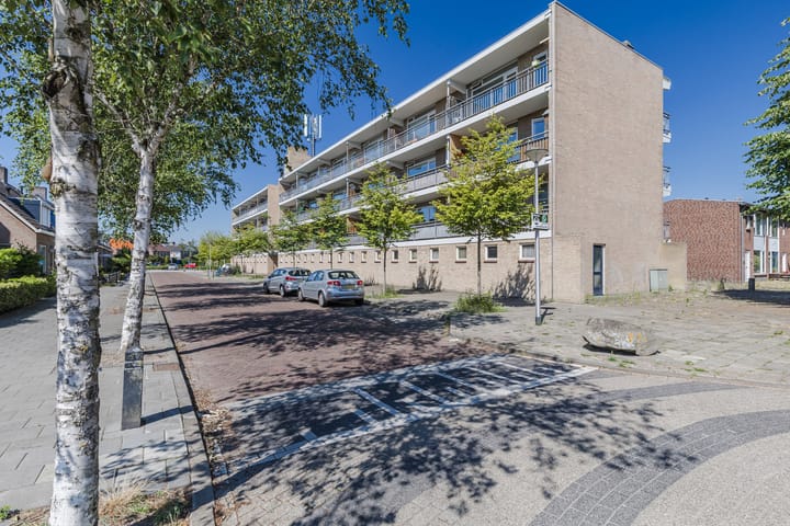 Foto 34 van Wolbergstraat 61