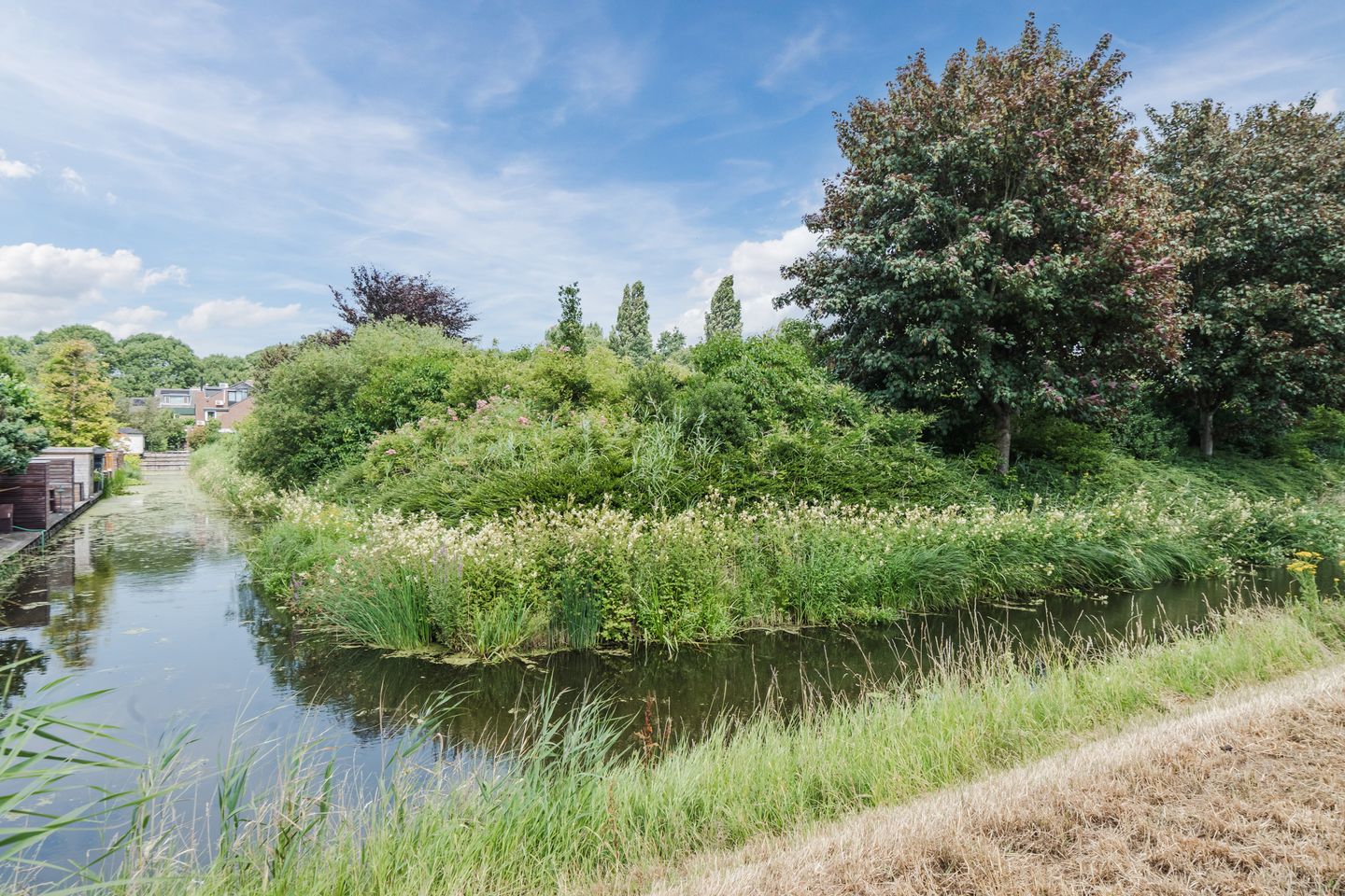 Foto 40 van Zuiderparklaan 24