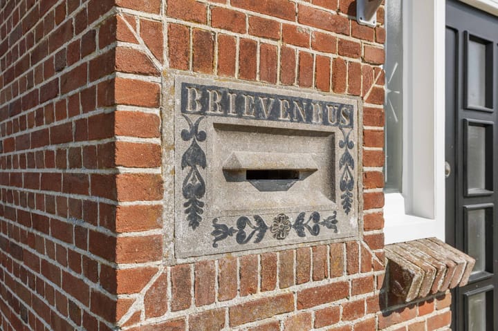 Foto 12 van Skilpaed 9