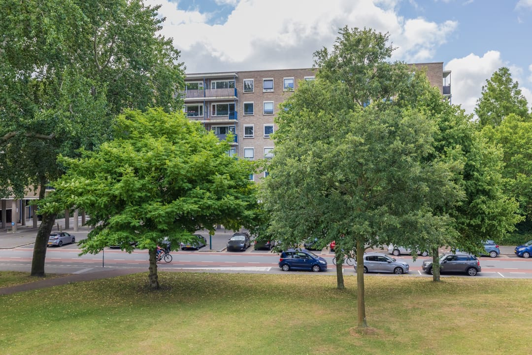 Foto 1 van Aert van Neslaan 623