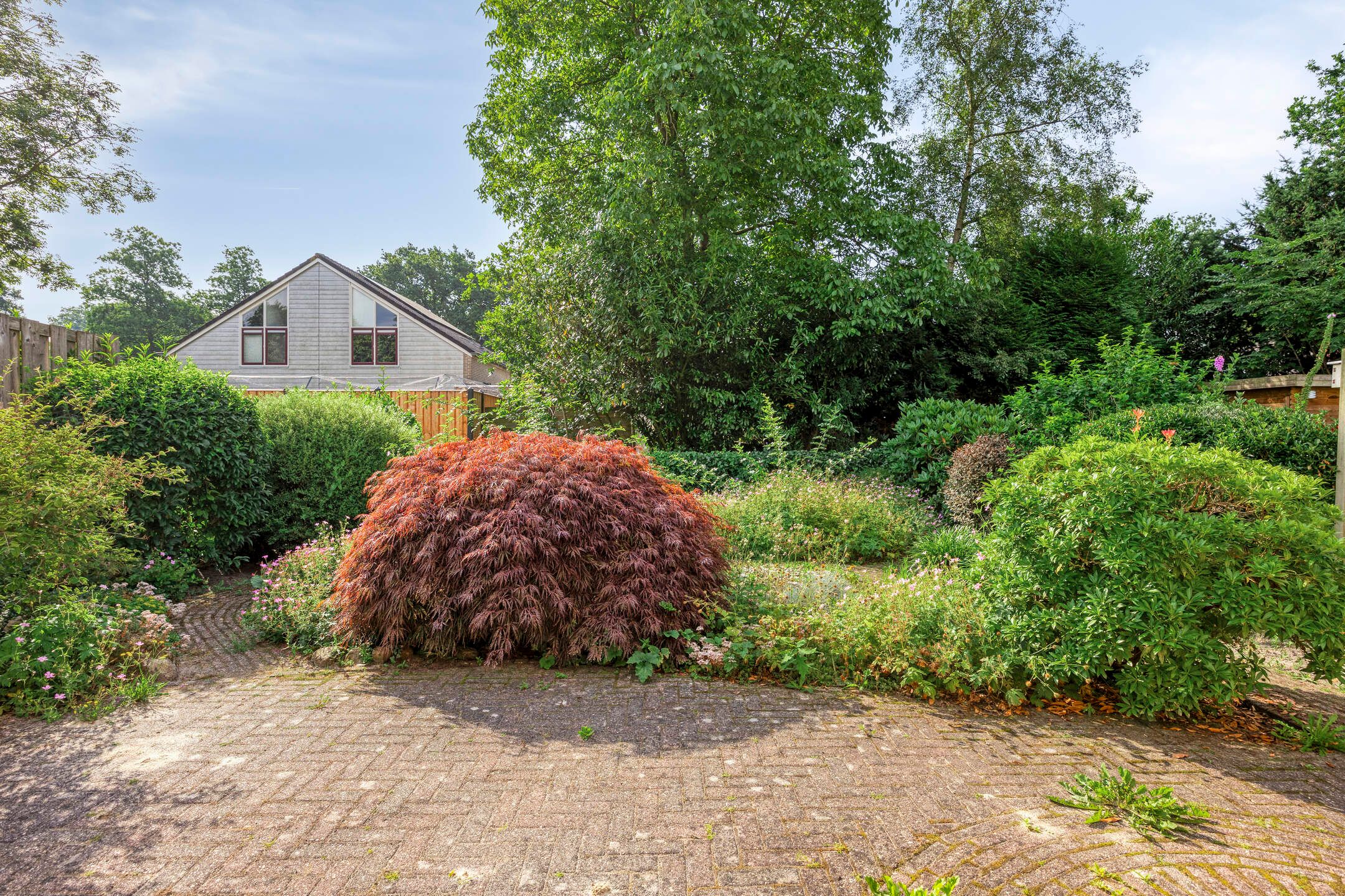 Foto 21 van Maasstraat 5