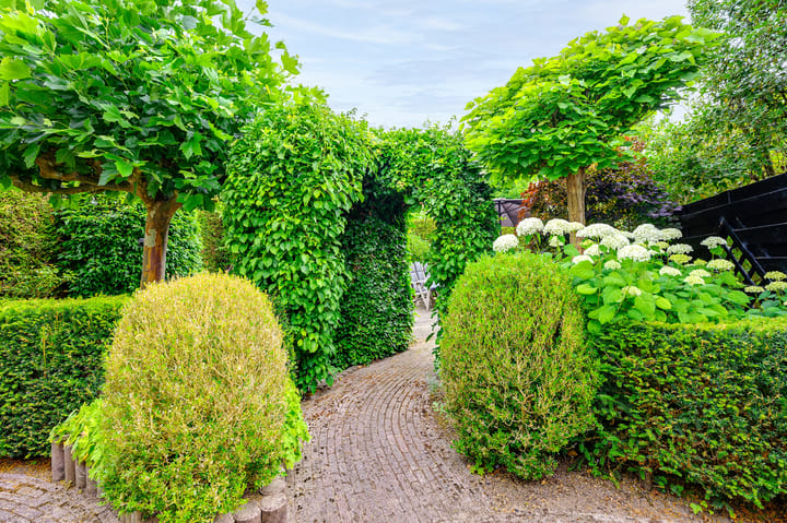 Foto 18 van Hilsondusstraat 109