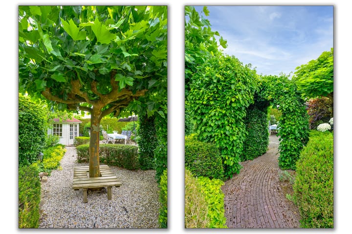 Foto 23 van Hilsondusstraat 109