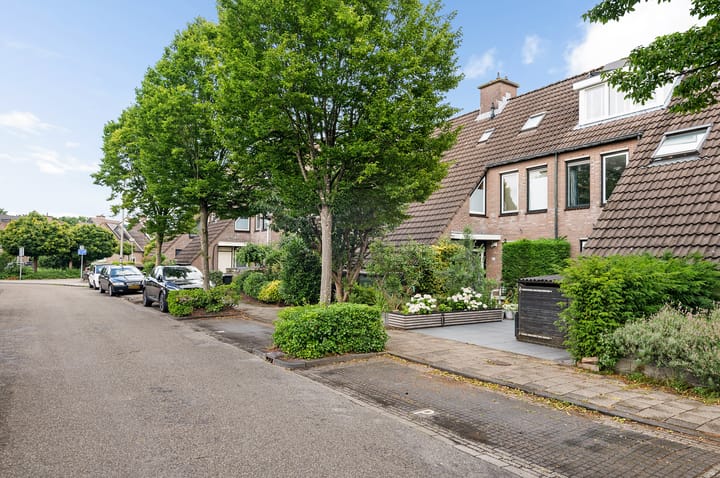 Foto 32 van Beatrixplantsoen 68