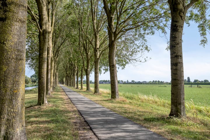 Photo 41 of Vinkenerf 48