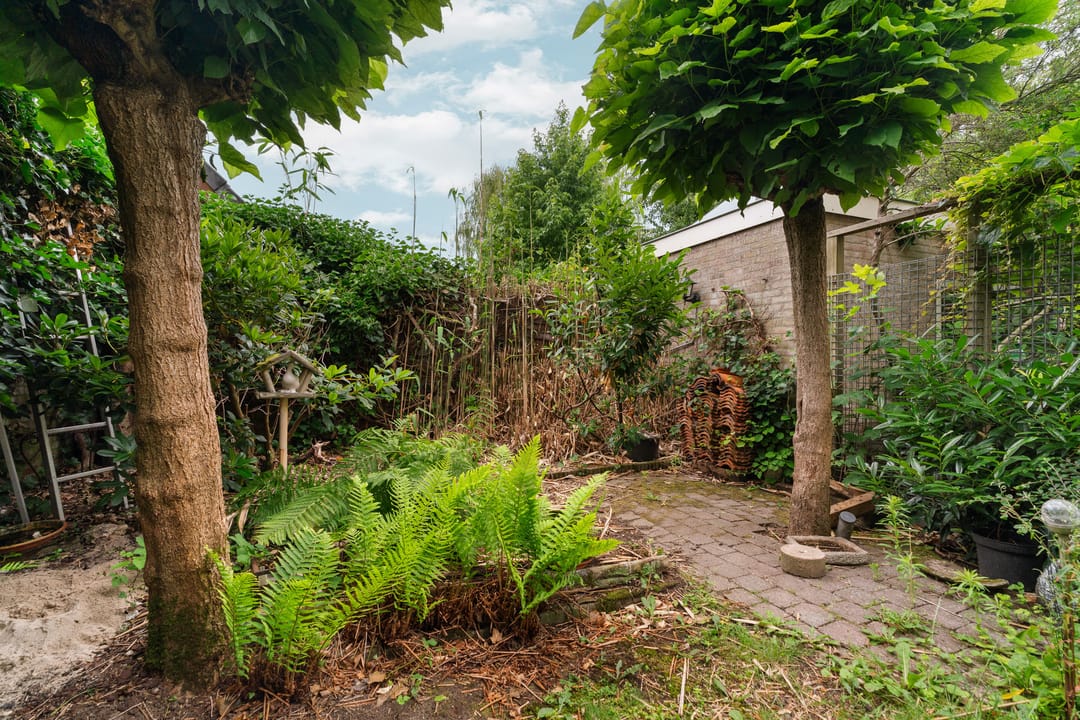 Foto 37 van Prins Bernhardlaan 24