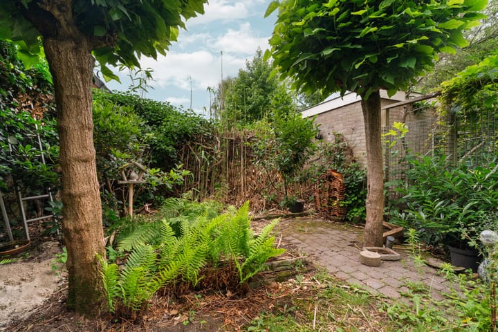 Foto 37 van Prins Bernhardlaan 24